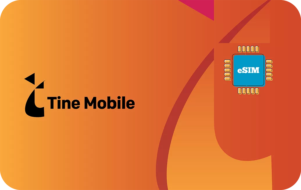 Palestine eSIM travel data card.