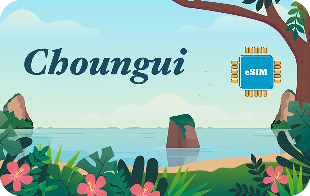 Mayotte eSIM travel data card.
