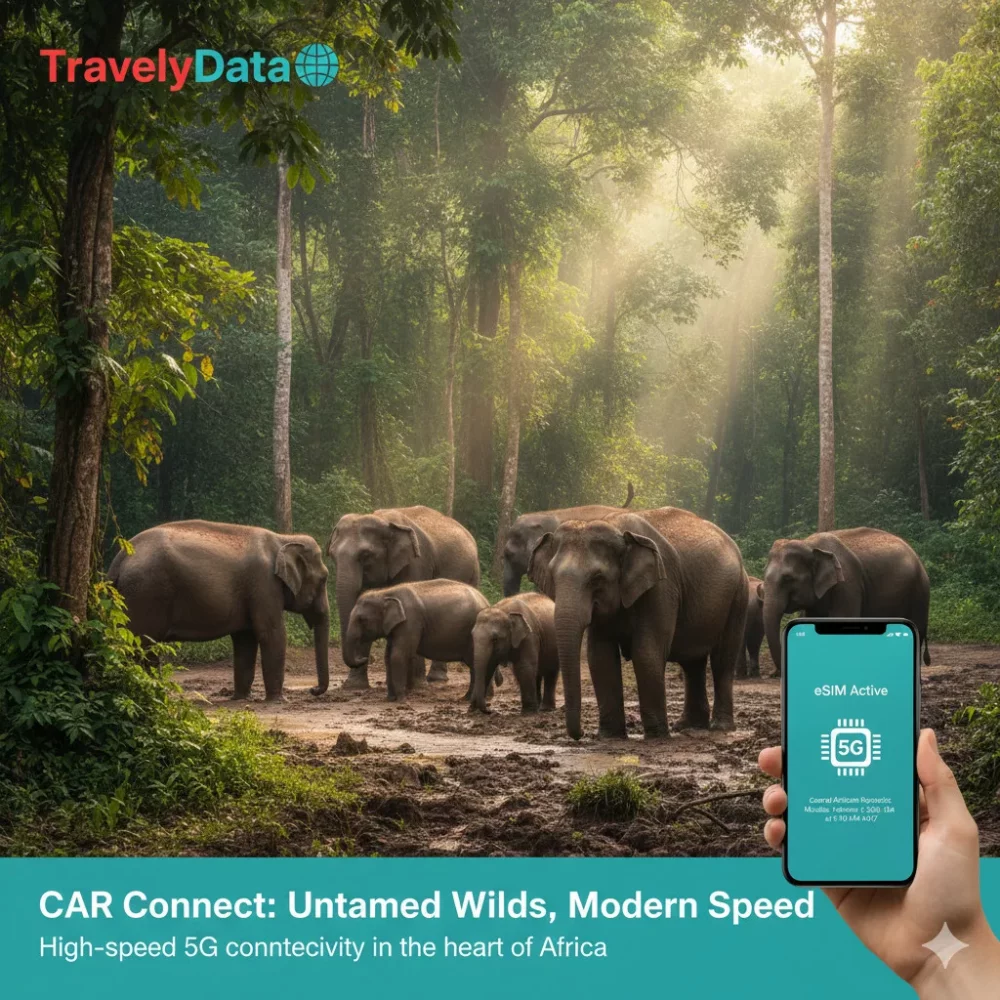 A traveler using an eSIM for data connectivity in Bangui, Central African Republic in 2026.