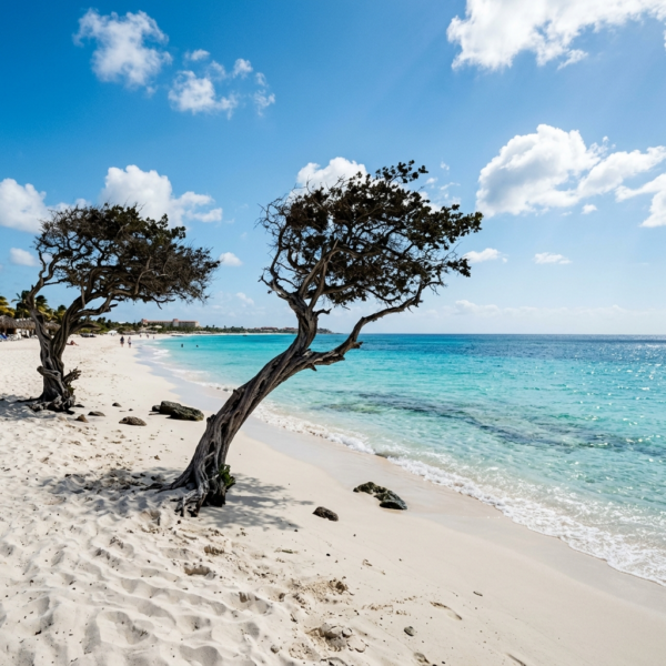 itinerary-aruba_cover.png